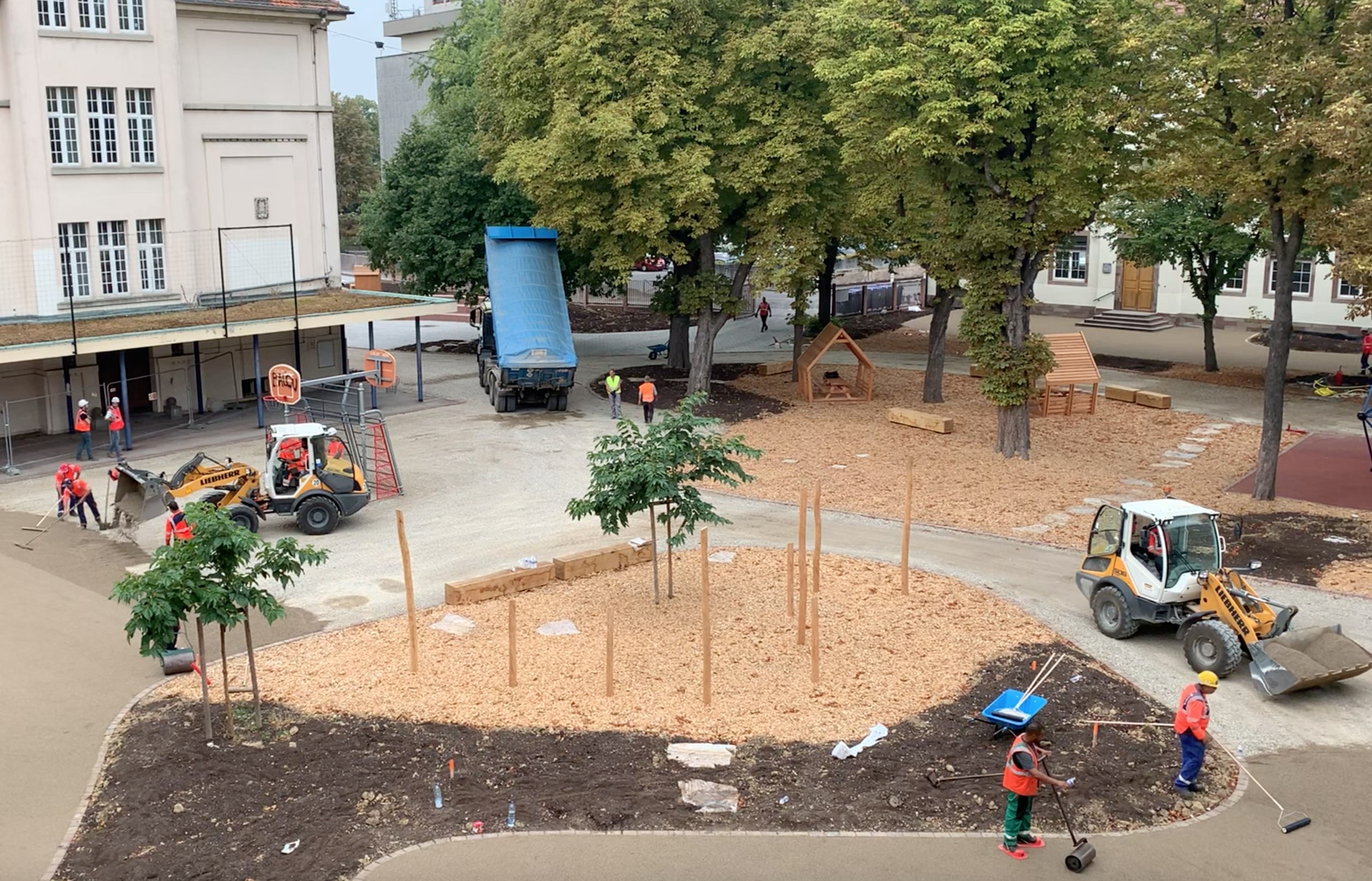 pilotage travaux végétalisation cour école